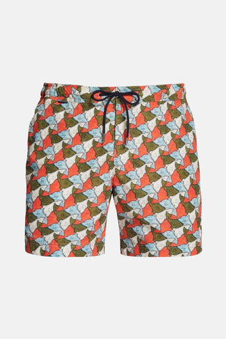 Fishes * The Print Swims