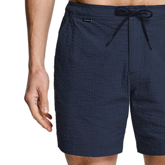 Cosmics * The Seersucker Swims